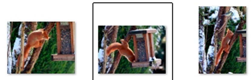 mai_schwellnus.jpg (2)