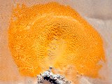 _mg_9728_1.jpg