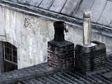 crw_54172.jpg