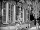 fensterlaeden.jpg