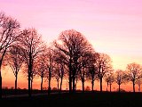 abend.jpg