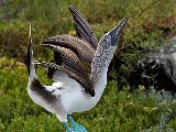 _MG_8325-GAL-2012.jpg