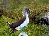 _MG_8347-GAL-2012.jpg