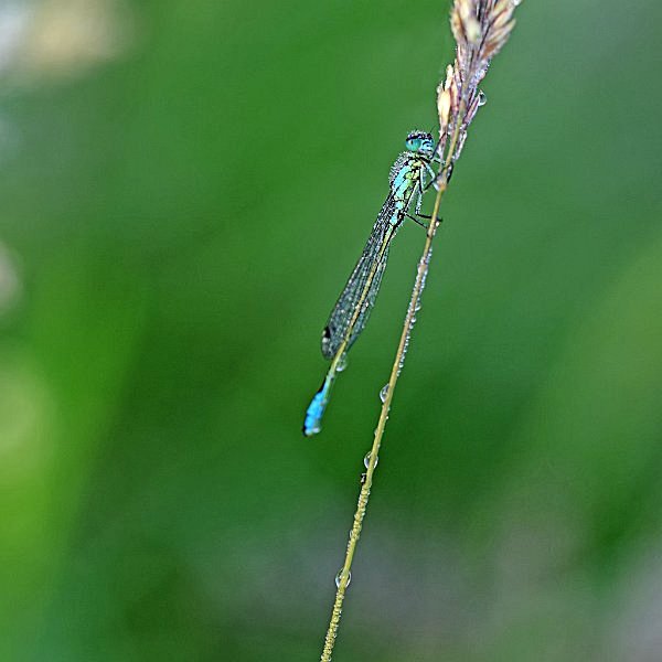 macro_08
