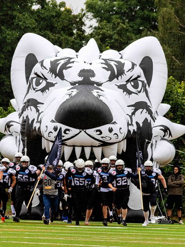 18 Wolfpack