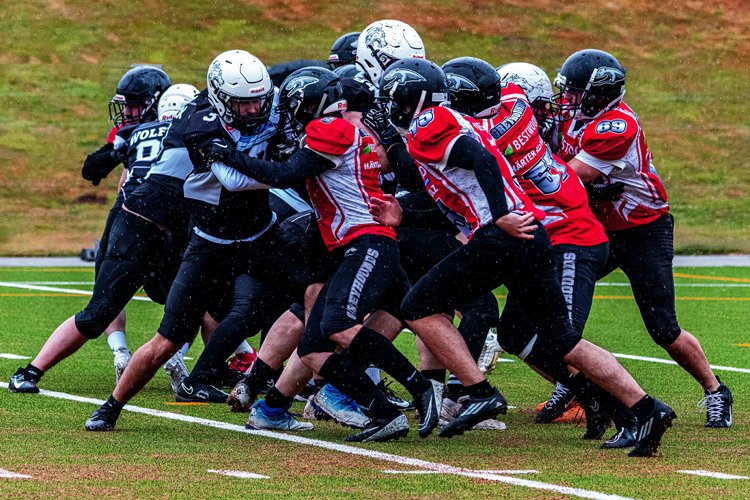 20 Wolfpack