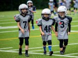 01 Wolfpack Minis.jpg