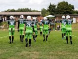 FireHawks_11.jpg