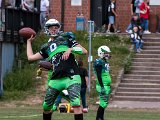 FireHawks_30.jpg
