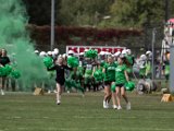 FireHawks_34.jpg