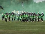 FireHawks_35.jpg