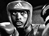 Boxer sw Kopie.jpg