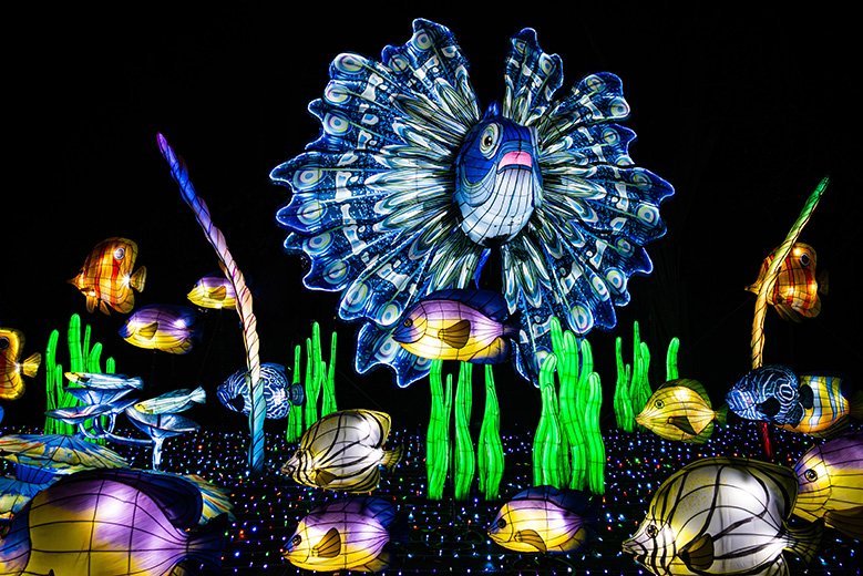 2a. Fische 1 50 x 40 klein