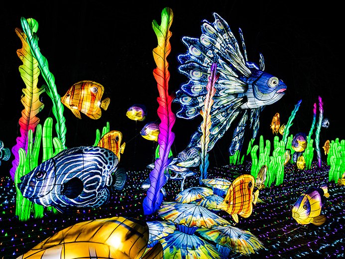 2b. Fische 2 50 x 40 klein
