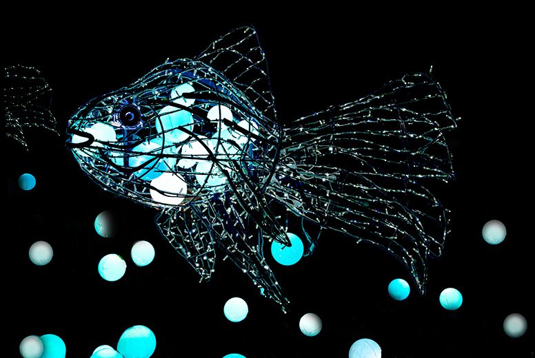 6. Blubber-Fisch 40 x 60 klein