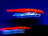 12 .Vienna House 60 x 40.jpg
