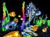 2b. Fische 2 50 x 40 klein.jpg