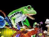 3. Frosch 30 x 40 klein.jpg