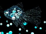 6. Blubber-Fisch 40 x 60 klein.jpg